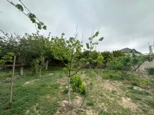 Şaganda Torpaq almaq, -5