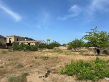 "Encirlik"marketin arxasinda Torpaq, -2