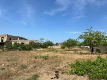 "Encirlik"marketin arxasinda Torpaq, -3