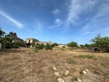 "Encirlik"marketin arxasinda Torpaq, -6