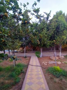 5 otaqlı həyət evi / bağ evi 230 m², Savalan q, -7