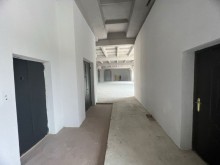 Rent (Montly) Commercial Property, -17