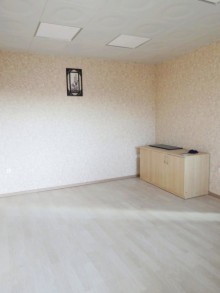 Rent (Montly) Commercial Property, -18