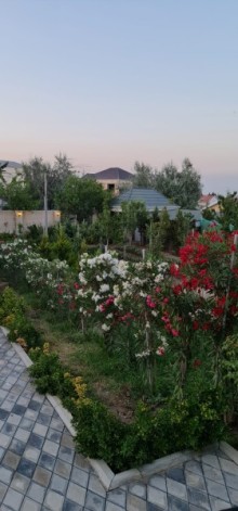 Баку, Новханы, продается дом в центре садов Сары-гая, -8