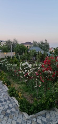 Баку, Новханы, продается дом в центре садов Сары-гая, -9