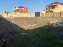 Buy land in Saray settlement, Baku city, -1