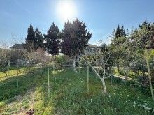 Merdekan "Shaurma N1" etrafinde Torpaq almaq, -2