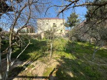 Merdekan "Shaurma N1" etrafinde Torpaq almaq, -3