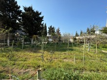 Merdekan "Shaurma N1" etrafinde Torpaq almaq, -4