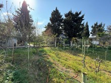 Merdekan "Shaurma N1" etrafinde Torpaq almaq, -5