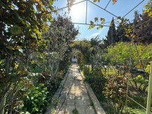 Merdekan "Shaurma N1" etrafinde Torpaq almaq, -7