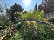 Merdekan "Shaurma N1" etrafinde Torpaq almaq, -8