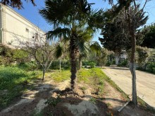 Merdekan "Shaurma N1" etrafinde Torpaq almaq, -12