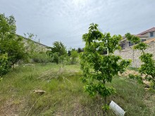 Merdekan qesebesinde cox prestijli bir yerde Torpaq, -3