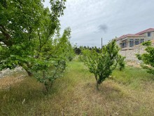 Merdekan qesebesinde cox prestijli bir yerde Torpaq, -4