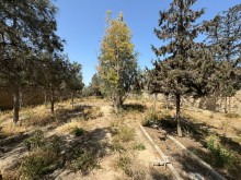 Suvelan deniz yolu Sale Land, -3