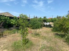 satilir-torpaq-baki-xezer-suvelan-koroglu-1778-1719564019-s