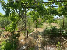 Shuvelanda Torpaq almaq merkezi yoldan texminen 250-300 metre iceride, -3