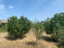 Shuvelanda Torpaq almaq merkezi yoldan texminen 250-300 metre iceride, -5