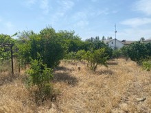 Shuvelanda Torpaq almaq merkezi yoldan texminen 250-300 metre iceride, -7