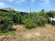 Shuvelanda Torpaq almaq merkezi yoldan texminen 250-300 metre iceride, -8