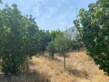 Shuvelanda Torpaq almaq merkezi yoldan texminen 250-300 metre iceride, -9