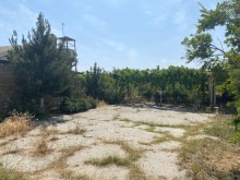 Shuvelanda Torpaq almaq merkezi yoldan texminen 250-300 metre iceride, -10