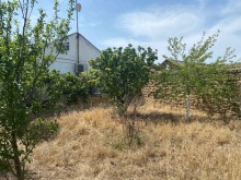 Shuvelanda Torpaq almaq merkezi yoldan texminen 250-300 metre iceride, -12