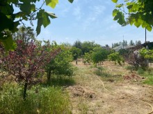 Shuvelanda Torpaq almaq merkezi yoldan texminen 250-300 metre iceride, -15