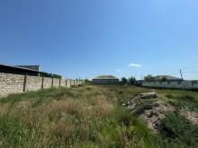 Sale Land Baku Buzovna, -6