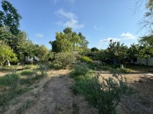 satilir-torpaq-baki-xezer-merdekan-koroglu-2639-1723038659-s