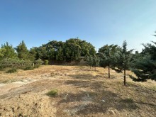 sale-land-baku-khazar-mardakan-koroglu-2655-1723280565-s