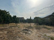 Sale Land Mardakan baglari, -8