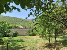 Sale Cottage Oğuz şəhəri, Padarli küçəsi, -3