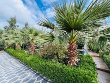 Sea Breeze yolunda elit villa satılır Nardaran qəsəbəsi, -6