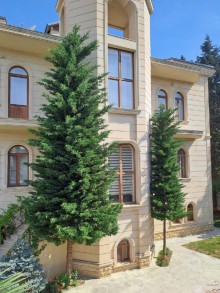 Kirayə (Günlük) Villa Nərimanov.r, Gənclik.m, -2