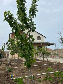 Armudlu bağ evi - Nardaran Ləhic bağlarında dəniz tərəfdə, -6