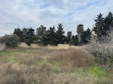 Satılır Torpaq merdekan, -2