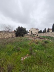 Sale Land merdekan, -2