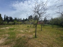 Satılır Torpaq merdekan, -2