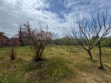 Satılır Torpaq merdekan, -5