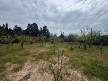 Satılır Torpaq merdekan, -6