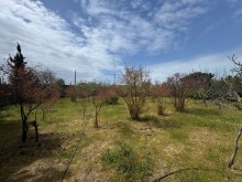 Satılır Torpaq merdekan, -8