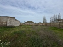 buzovnada Satılır Torpaq, -6