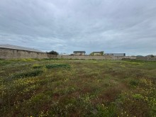 Sale Land merdekan, -5