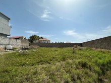 Sale Land merdekan, -6