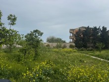 Satılır Torpaq merdekan, -3