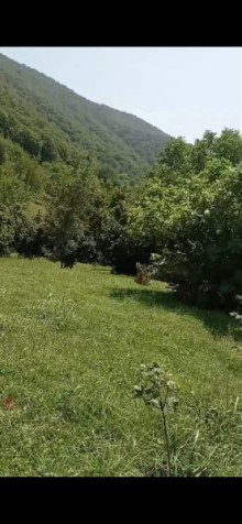 Qax rayonu Qaşqaçay həyət evi, -2