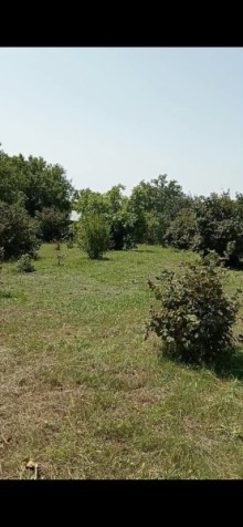 Qax rayonu Qaşqaçay həyət evi, -3