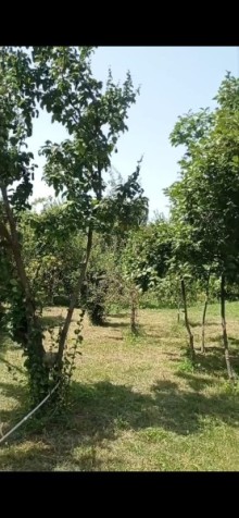 Qax rayonu Qaşqaçay həyət evi, -6